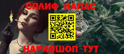 СК Краснознаменск
