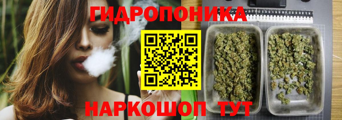 Конопля гибрид Усинск